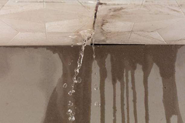 Professional Burst Pipe Cleanup technician working in Thorndale, PA